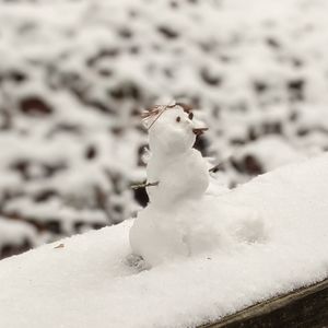 I just want to give my used belongings a new home.